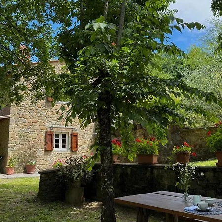 Anfora Aramo